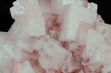 Pink Halite Crystal Plate - Trona, California #61068-2